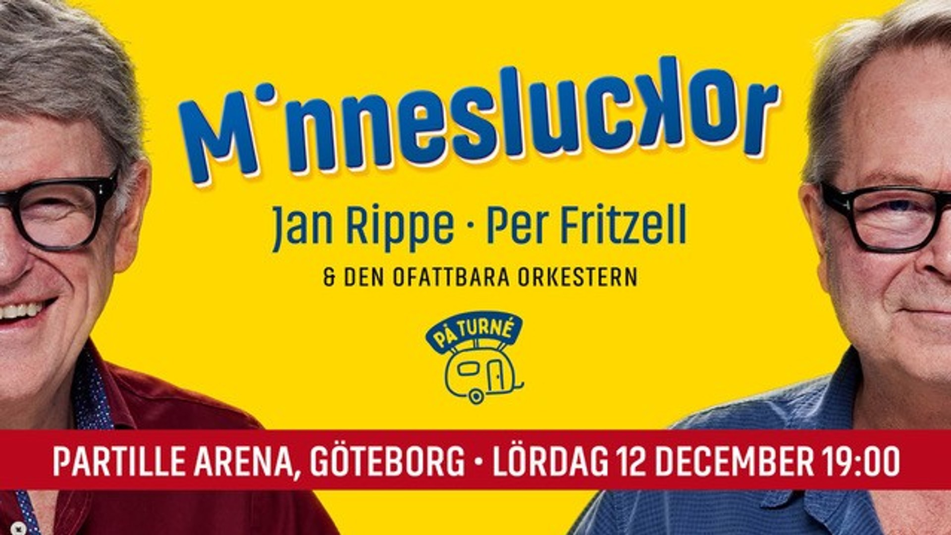 Minnesluckor